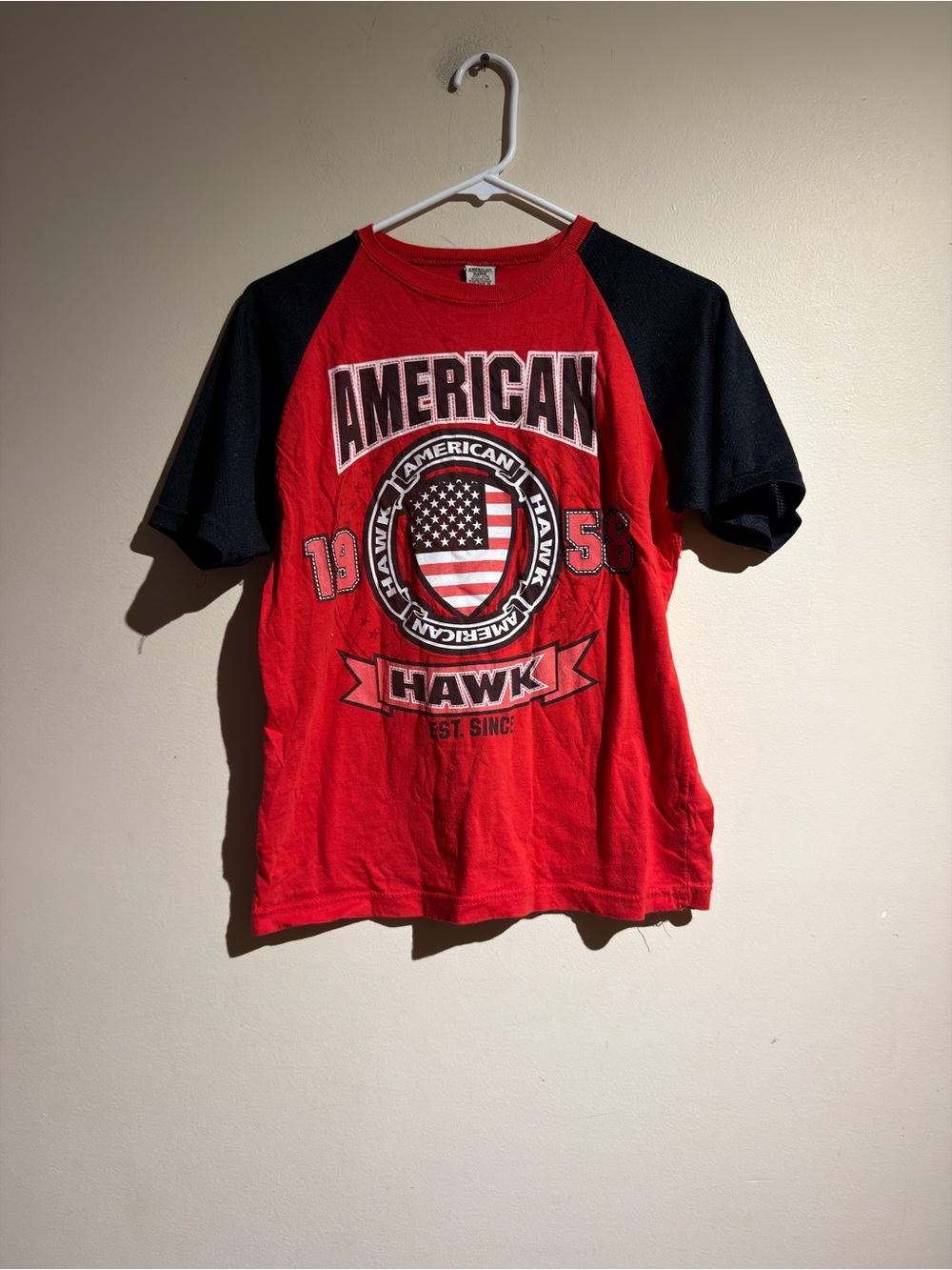 "AMERICAN HAWK". two-tone raglan graphic t-shirt